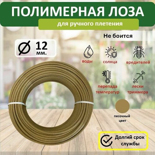 ������ ������ ���������� ���� � �����, ������� 12��, 10�, �������� ����