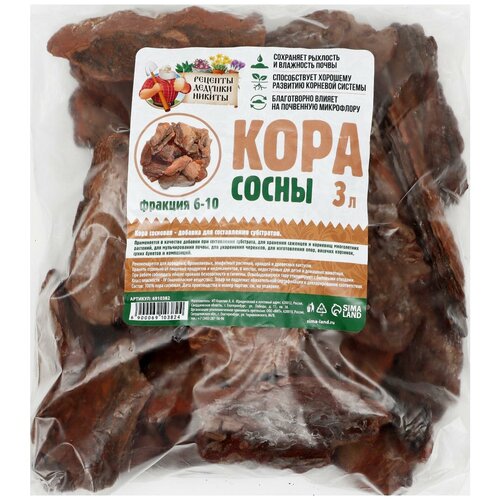 ������ ������ ���� ����� 