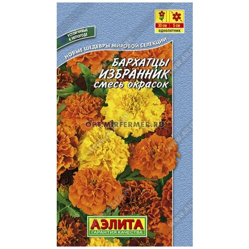 ������ ������ �������� 