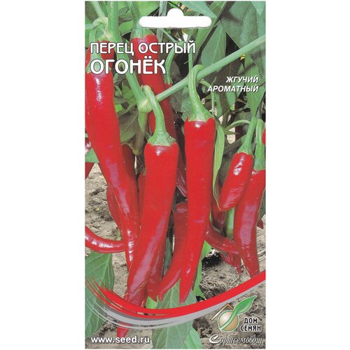 ������ ������ ����� ������ ������, 20 ����� ����