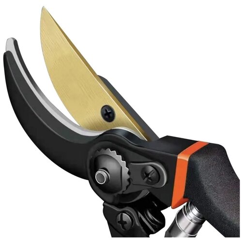 ������ ������ ������� �����������, ������������ �������� (��� �������) ����