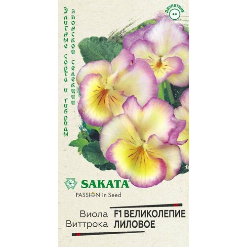 ������ ������ ������. ����� 