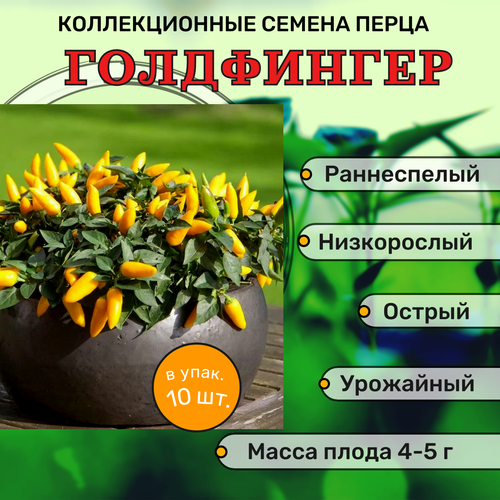 ������ ������ ������������� ������ ����� ������� ���������� ����