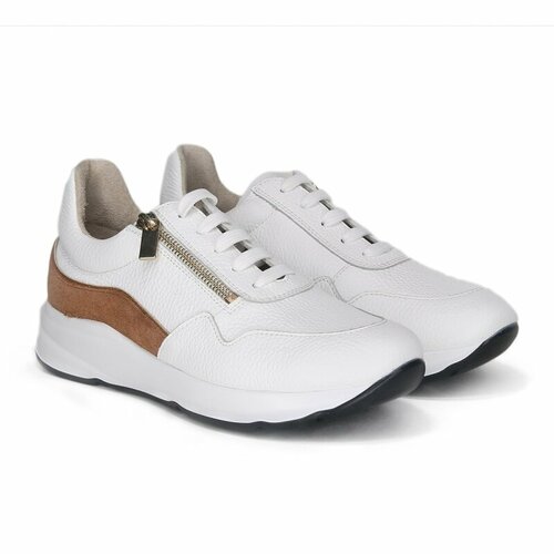 ������ ������ ����� Dr. SPEKTOR ������� (�/�������) ���.0416-400-641-221-24� ����� �.37 ����