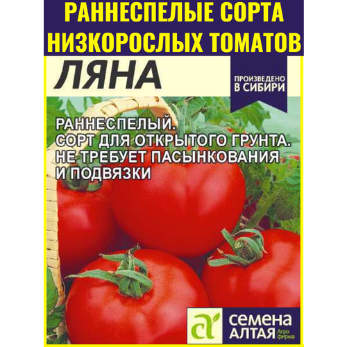 ������ ������ ������ ������������� ������ ���� - 0,1 �. ����������� ���� ��� ��������� ������ ��� ������������ � �������� ����