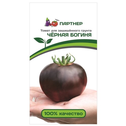 ������ ������ ����� ������ ������ ����