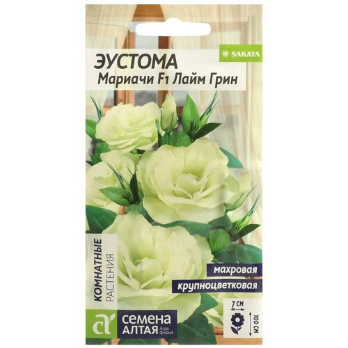 ������ ������ ������ ������� ������ ����� 5 ��./��. ����