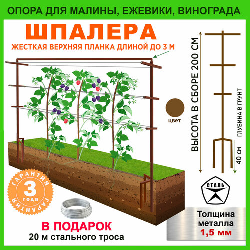 ������ ������ ����� ��� ��������, ������� ������� ����