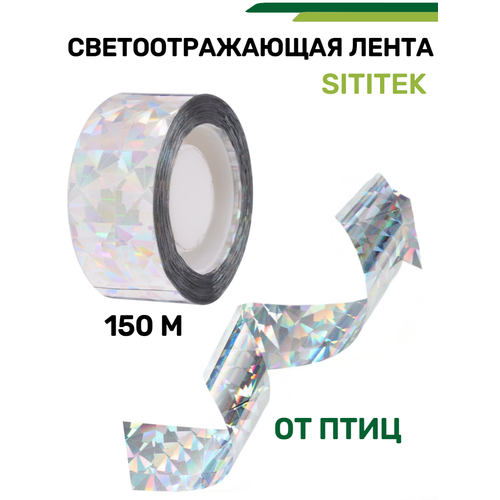 ������ ������ ������������ ���� ����� ��������������� 150 ������ ����