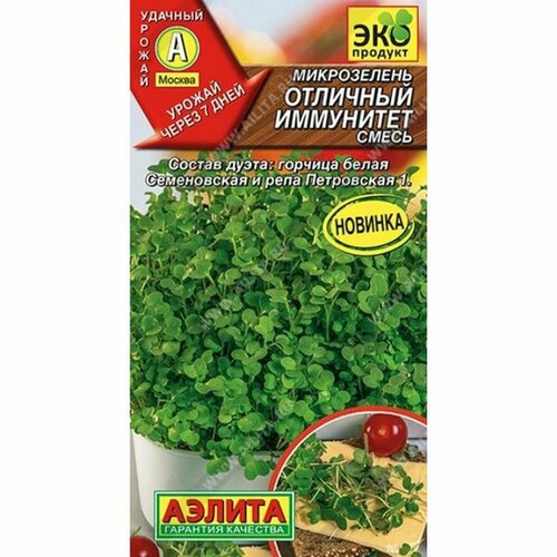 ������ ������ ������ ����������� �������� ���������, ����� (������) 5� ����