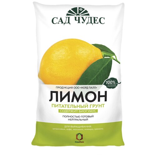 ������ ������ ����� ����������� ����� 