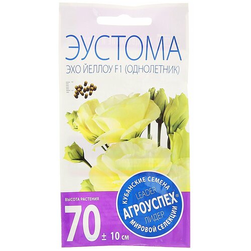 ������ ������ ������ ��������� 