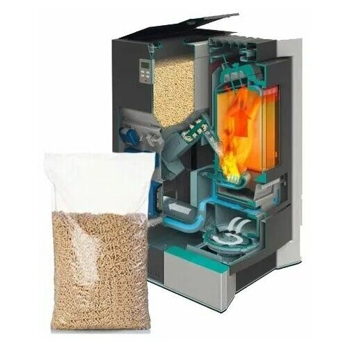 ������ ������ ������� ��������� ��������� � �������� 5 ��. ����