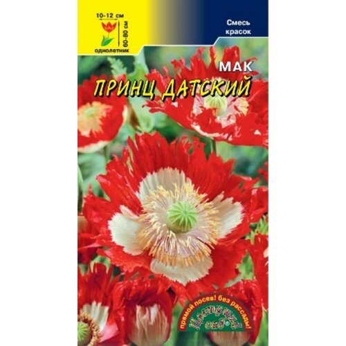 ������ ������ ������ ��� ����� ������� 0,1� ��� 80�� (�������� ���) ����