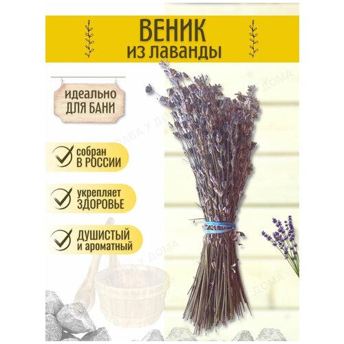 ������ ������ ������ ��� ���� (�����) �� ������� 1 ��. ����