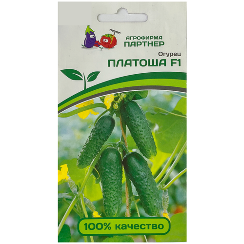 ������ ������ ������ ������ ������� ������� F1 5 ����� ����