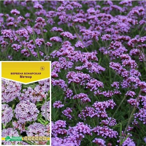 ������ ������ ������ ����������� ������: ������� ��������� ������ (0,1 �) ����