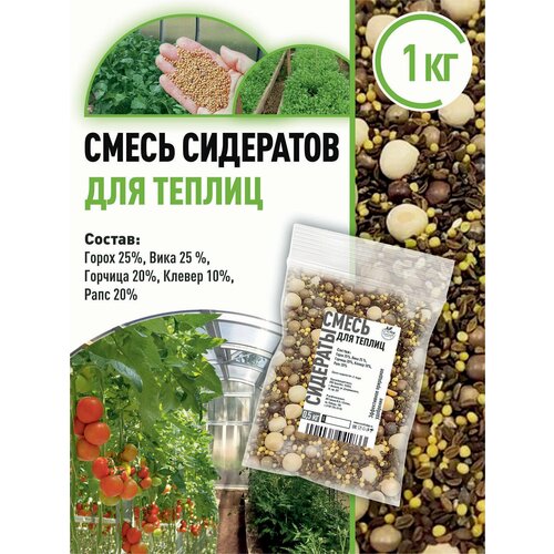 ������ ������ ����� ��������� ��� ������ 1 �� ����