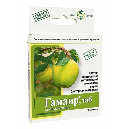 ������ ������ ��������� ������ �� �������� �������� �������� ����