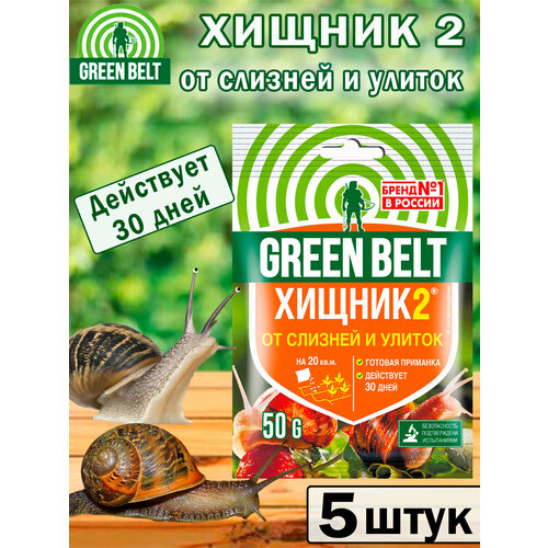 ������ ������ �������� �� ������� � ������ ������2, 50��, 5 ���� ����