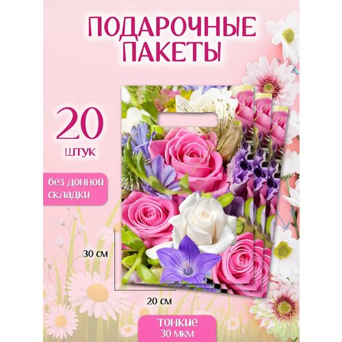 ������ ������ ���������� ������ ����� 20�� �� �������� �������� � ����� ����