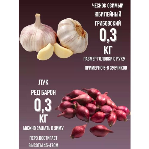 ������ ������ ����� ������ ������ � ��� ����� 0.3�� ����