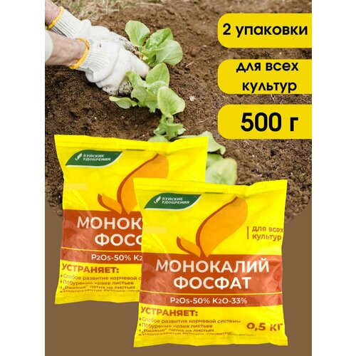 ������ ������ ��������� ��������������� (���������� �����), 1 ��. ����