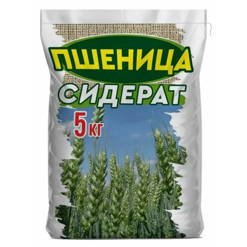 ������ ������ ������� �������� ������� ������ ��� ������������ ����������� ����