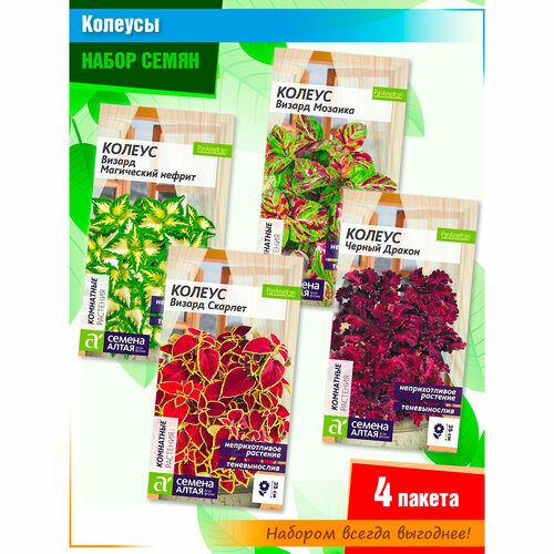 ������ ������ ����� ����� ������� ����� 