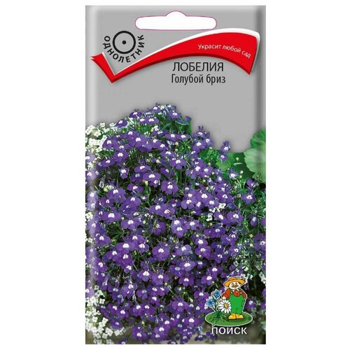 ������ ������ ������ ����� ������� ������� ���� 0.1 � ����