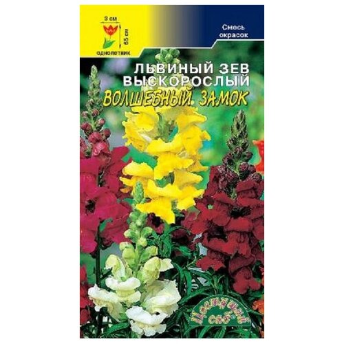 ������ ������ ������ �������� ��� 