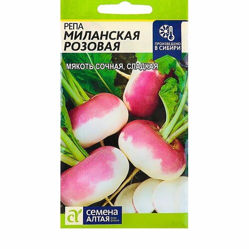 ������ ������ ������ ���� ��������� ������� 1� ������ (������ �����) ����