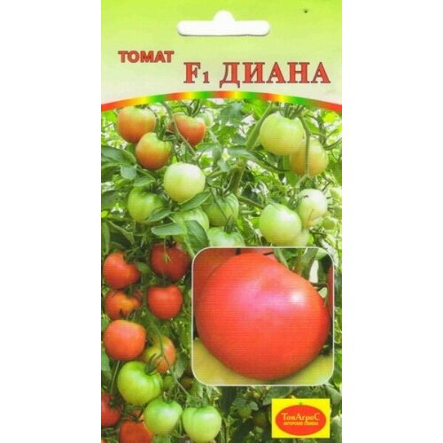 ������ ������ ������ ����� ����� F1 (�����) ����