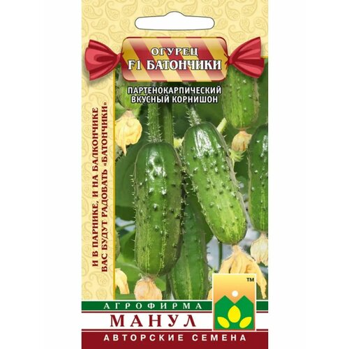 ������ ������ ������ ������ 