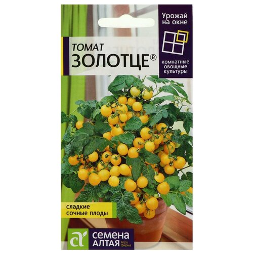 ������ ������ ������ ����� 