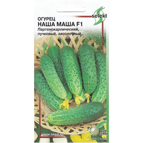 ������ ������ ������ ���� ���� F1, 10 ����� ����