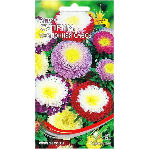 ������ ������ ����� ������ �����, 110 ����� ����