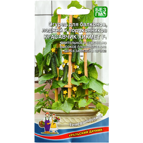 ������ ������ ������ ��������� ������ ������ ��������� ��������� ������ F1 6 ��.���������� ����