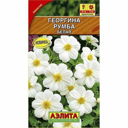 ������ ������ ������. �������� 