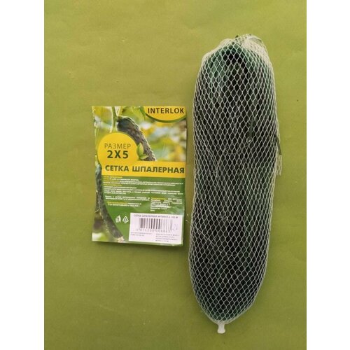 ������ ������ ����� ��������� ������� 2 � 5 �. ����