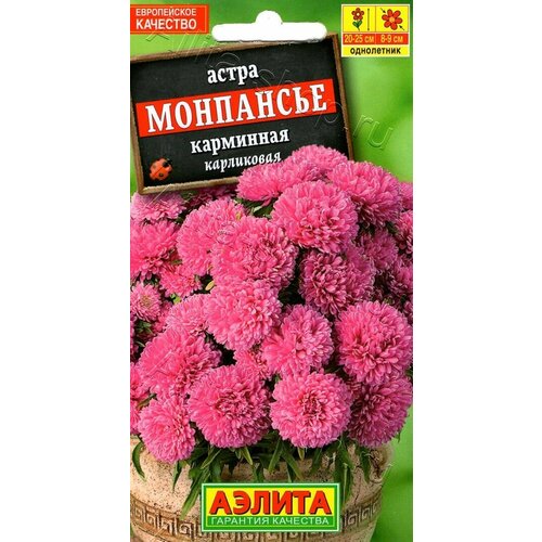 ������ ������ ������ ����� ��������� ��������� ���������� 0.2� ��� 25�� (������) ����