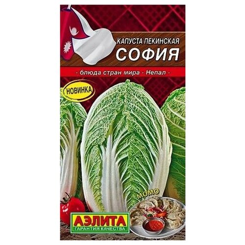 ������ ������ ������. ������� ��������� 