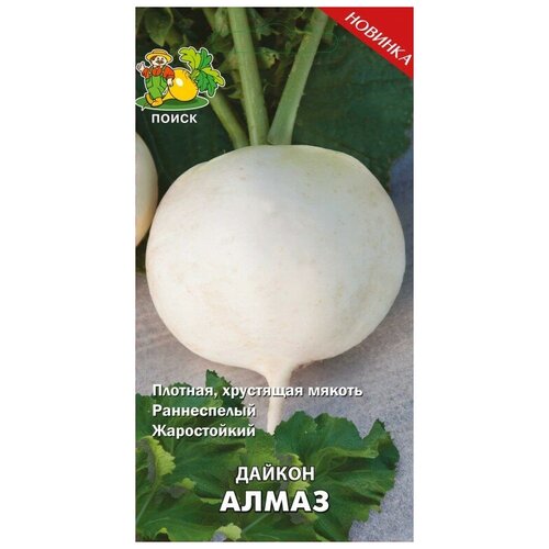 ������ ������ ������ ����� ����