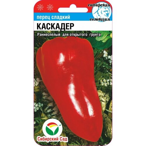 ������ ������ ������ ����� �������� 15�� (6��) ������ (��������� ���) ����