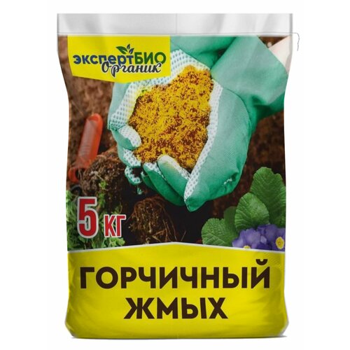 ������ ������ ��������� ��������� ���� ��������� ��� �������� ������� � ���� ����