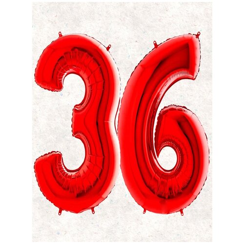 ������ ������ ����� �����: ����� 36 ���, 100 �� ����