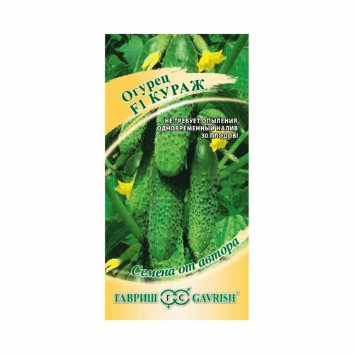 ������ ������ ������ ������ ������ ����� F1 ����