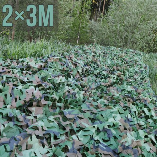 ������ ������ ������������� ���� 2?3 � ����������� � ������� ����