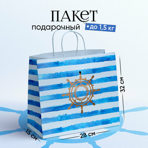 ������ ������ ����� ���������� ������ ������� �����, 32x28x15 ��, �����/������� ����