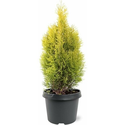 ������ ������ �������� ��� �������� ������ ������� 882427 �2 H25-30 ����